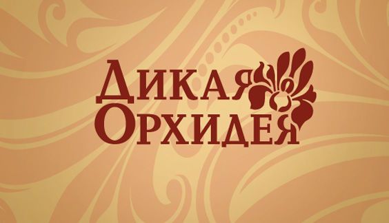 Дикая Орхидея